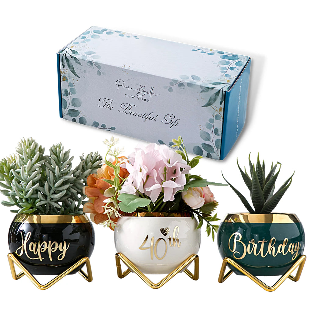 Ceramic Planter Gift, 3 Succulent Pots K53582
