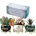 Ceramic Planter Gift, 3 Succulent Pots K53582