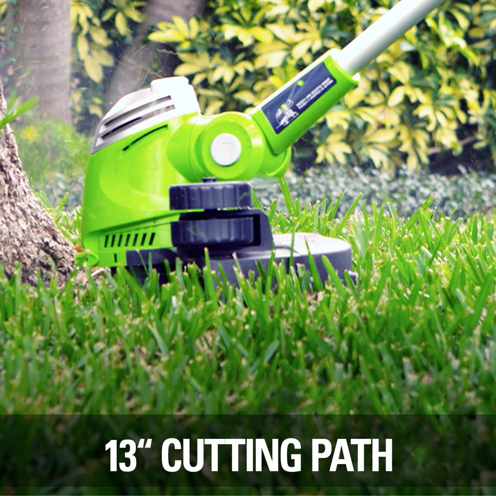 40V Cordless String Trimmer/Edger with Battery & Charger P977