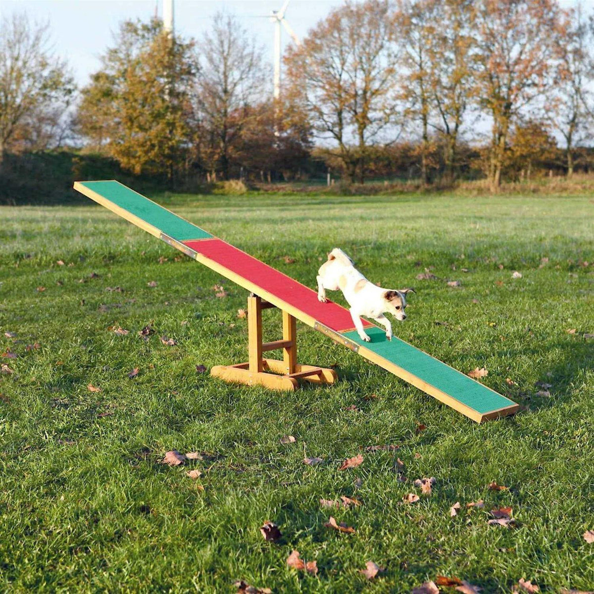 Dog Training Seesaw N8735