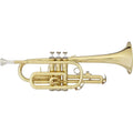 Lacquered Brass Cornet A832