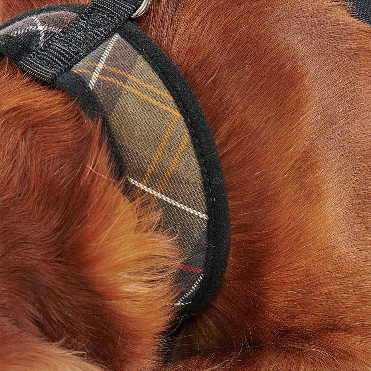 Tartan Dog Harness V85126