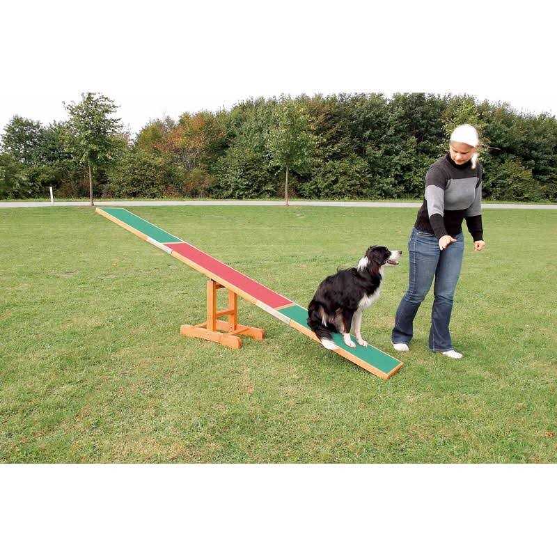 Dog Training Seesaw N8735