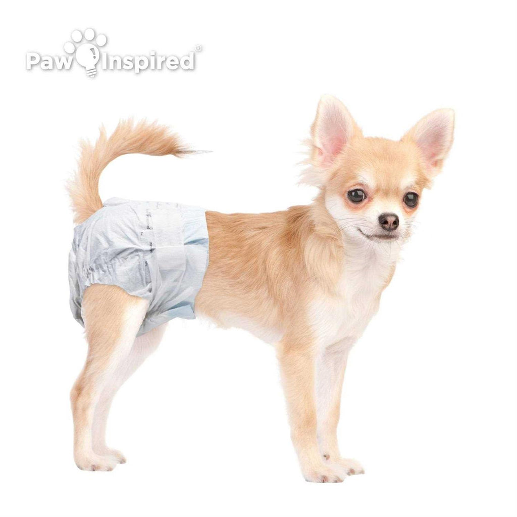 Disposable Dog Diapers Z586