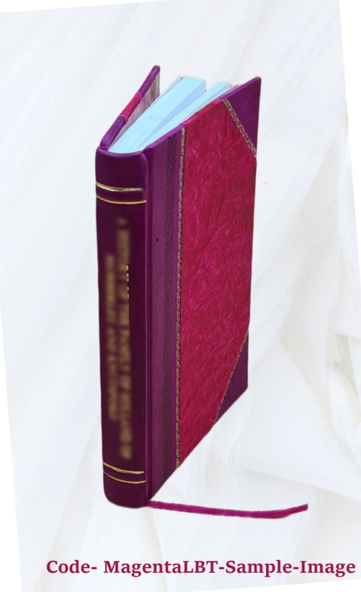 Mentana Monumento Cenni Storici Leather Bound C601