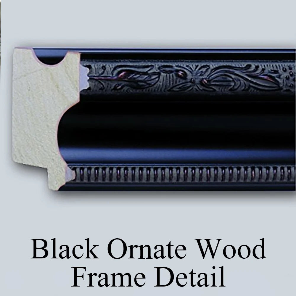 Black Ornate Wood Framed Double Matted Art Print H12161
