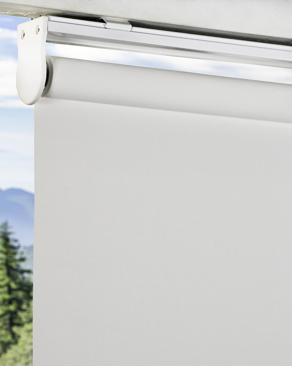 Cordless Blackout Roller Shade 23"W X 72"H C4150