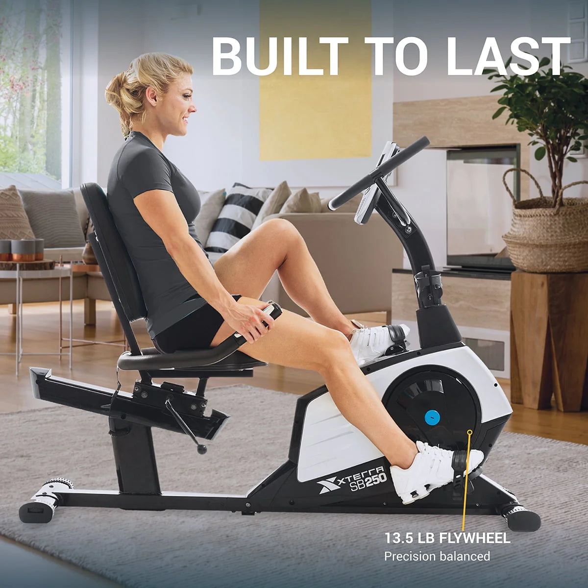 Recumbent Bike K361745