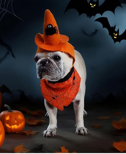Dog Halloween Costumes 2Pcs Set Witch Hat and Bandana Black D495