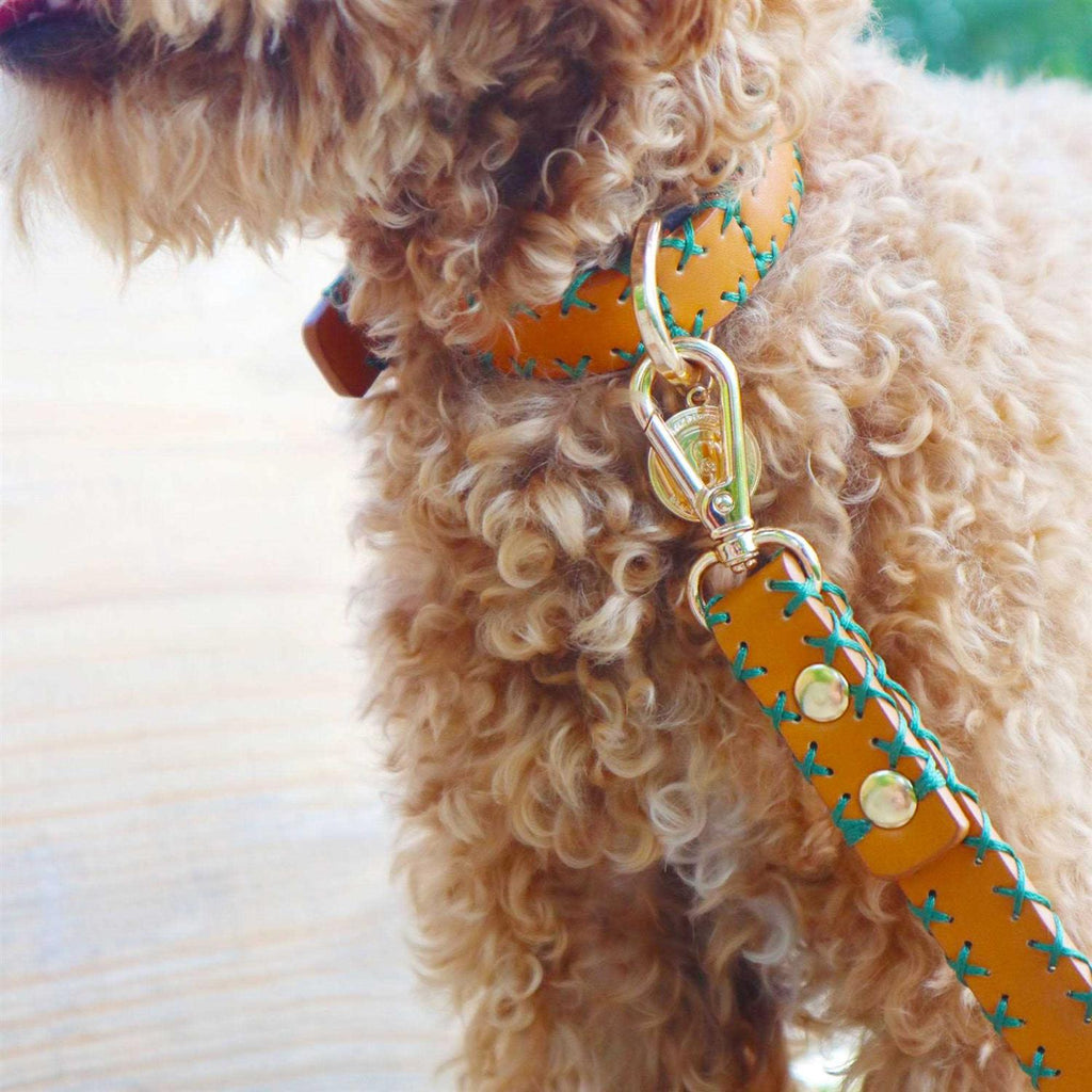 Handcrafted Standard Dog Collar E5666