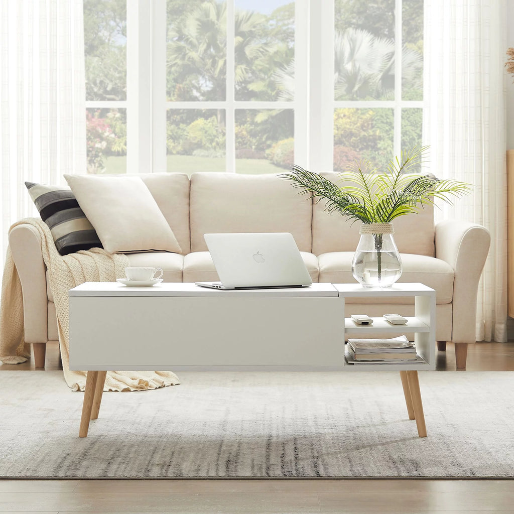 Modern Coffee Table with Lifting Tabletop and Hidden Storage Compartments R411