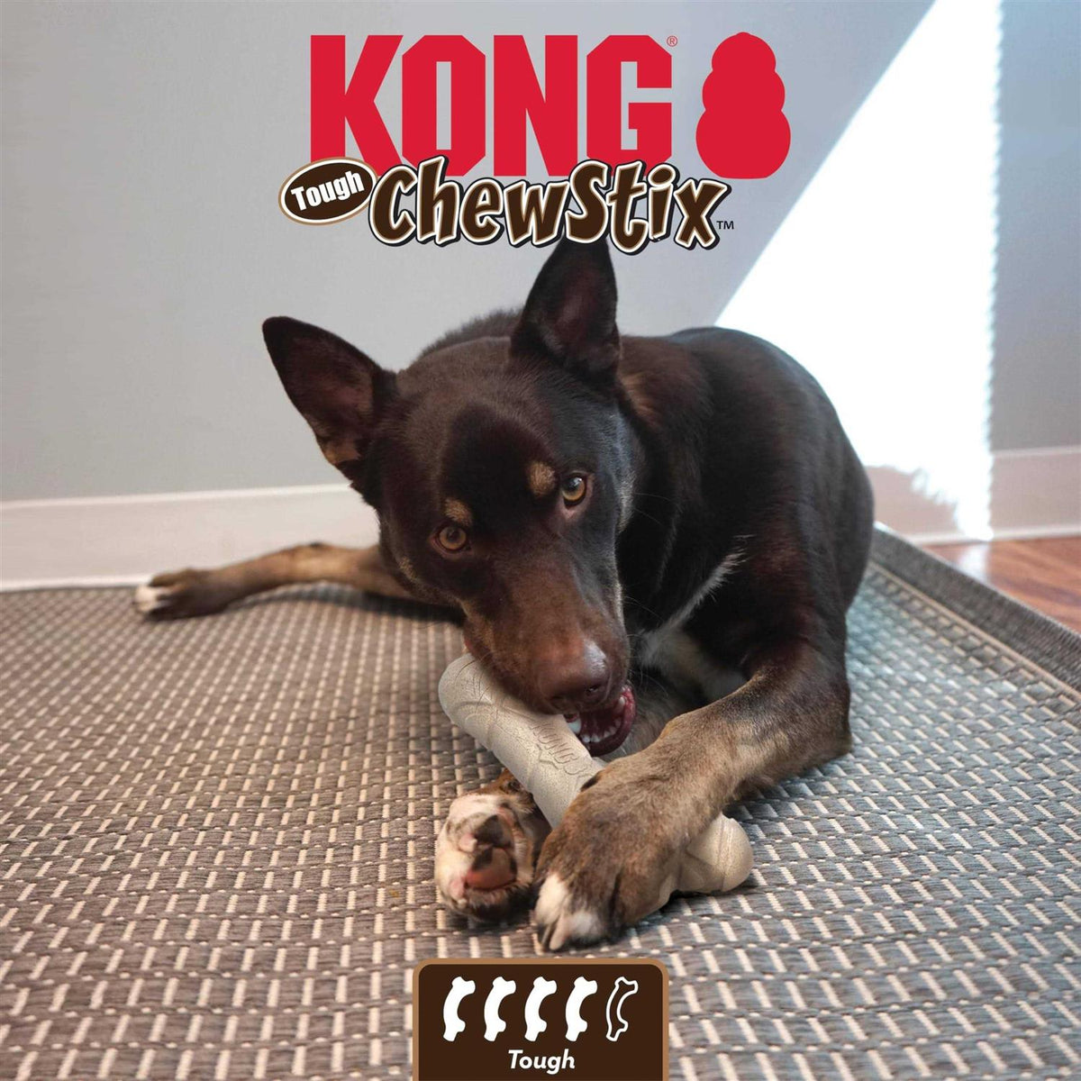 Dog Chew Toy E4147