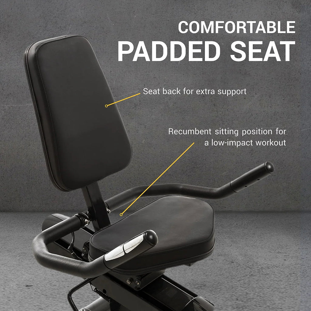 Recumbent Bike K361745