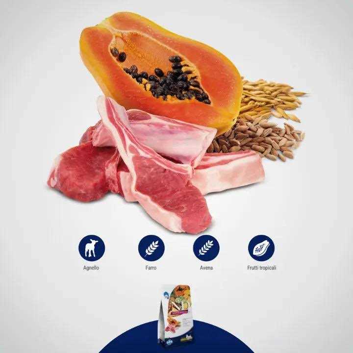 Dry Dog Food Lamb Spelt Oats and Tropical Fruits Adult Medium & Maxi B263