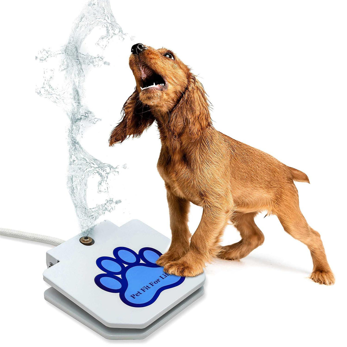 Dog Step-on Sprinkler Dog Toy W25828