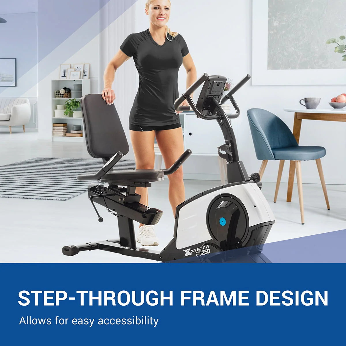 Recumbent Bike K361745