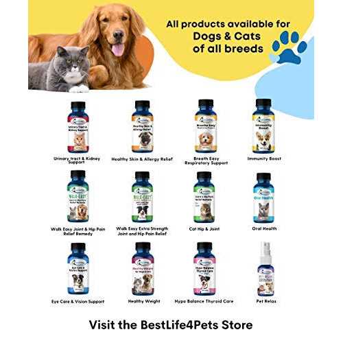 All-Natural Healthy Skin and Allergy Relief For Cats V805