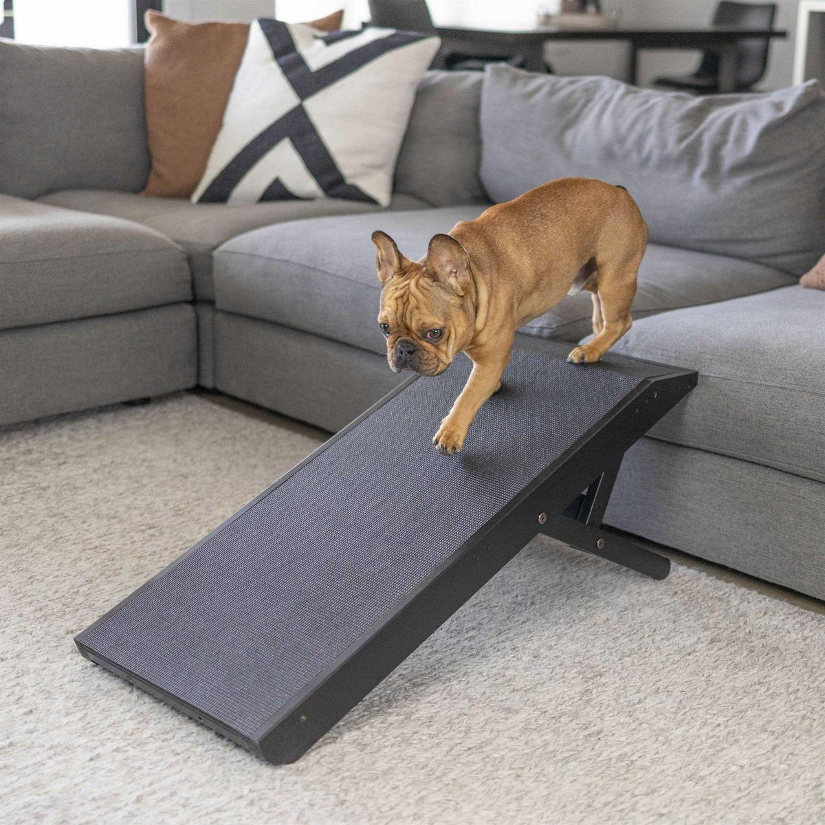 Dog Ramp Y6689