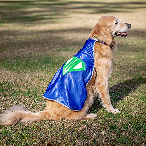 Personalized Dog Superhero Cape Small Red N2758
