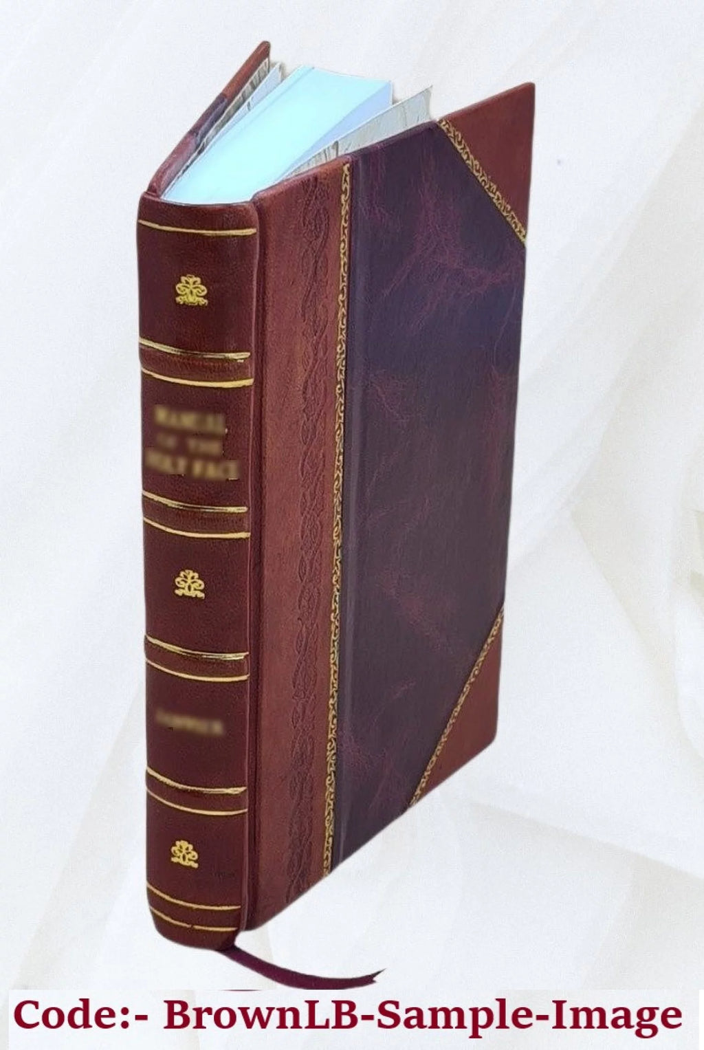 Cured and Smoked Pork Products Leather Bound S4591
