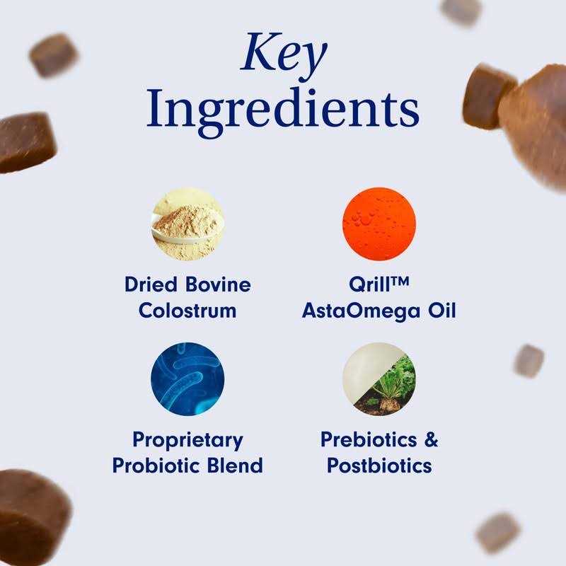Allergy & Immune Support Pet Supplies J658