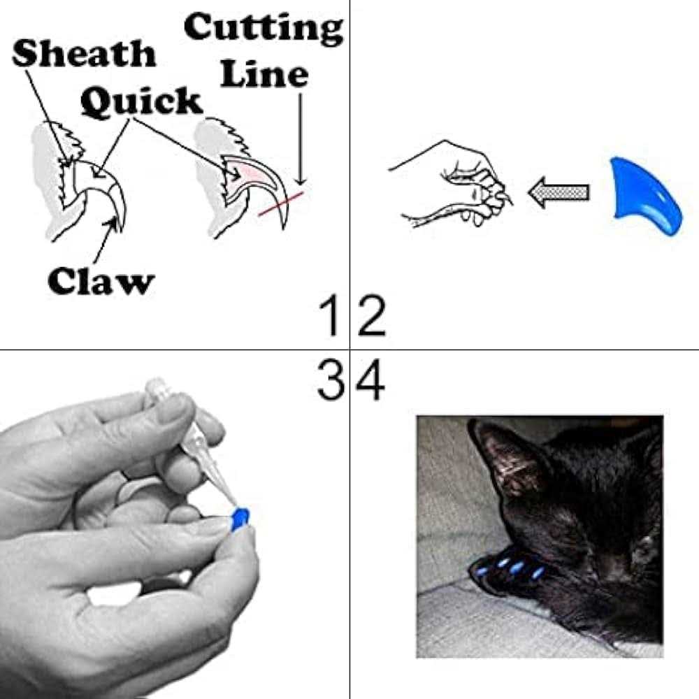 Soft Nail Caps for Cats H92645
