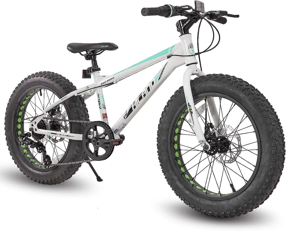20 inch 7-Speed Dual-Disc Brakes Kids Mountain Bike L751983