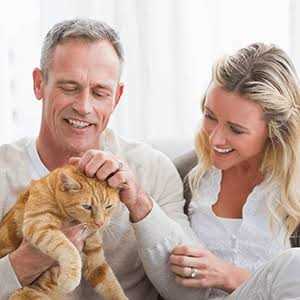 All-Natural Healthy Skin and Allergy Relief For Cats V805