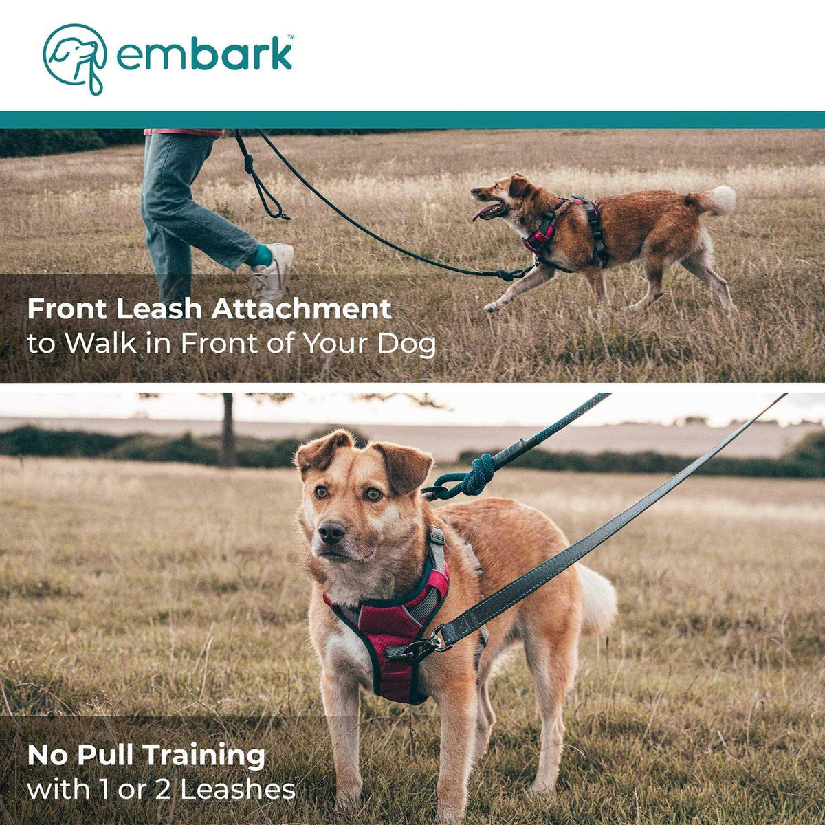 Dog Harness Leash Q746