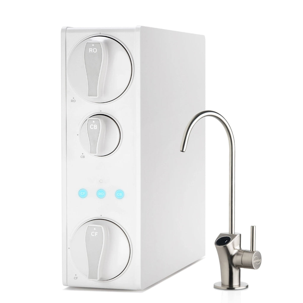 Tankless Reverse Osmosis Water Filtration System D865