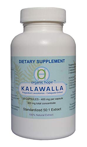 Kalawalla Polypodium Leucotomos 400mg 120 Veggie Caps O110468