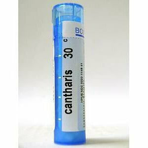 Cantharis 30C 80 plts U486045
