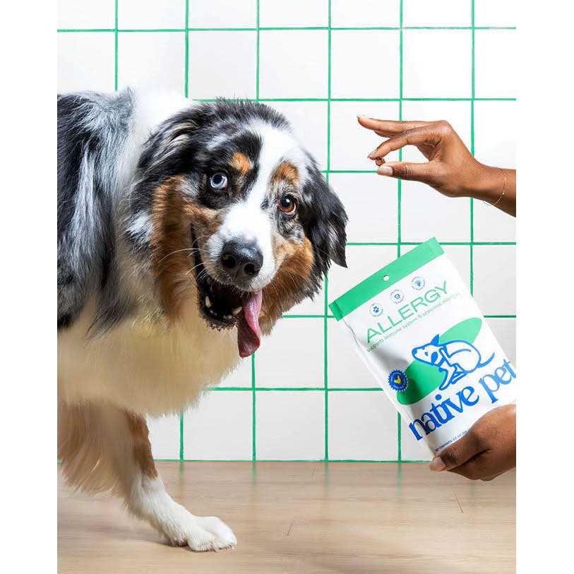 Allergy Chews for Dogs U2157
