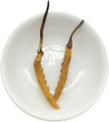 Dried Cordyceps sinensis 2 pcs 1g L9159