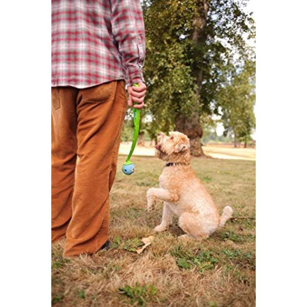 Fetch Medley Pet Supplies Q4559