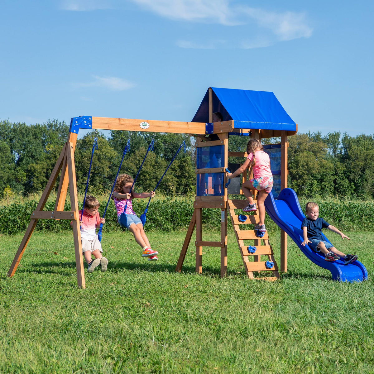 Wooden Cedar Swing Set A3139