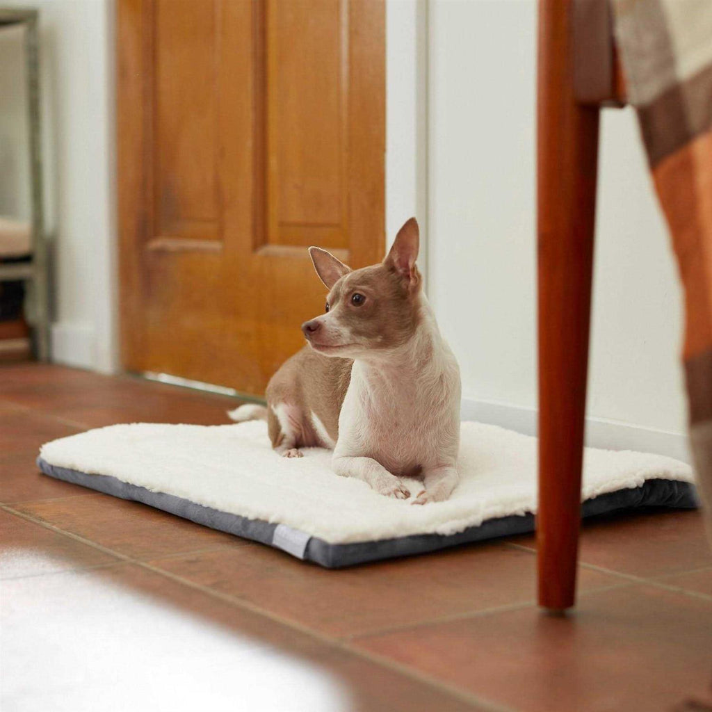 Self-Warming Reversible Cat & Dog Mat O718690