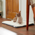 Self-Warming Reversible Cat & Dog Mat O718690