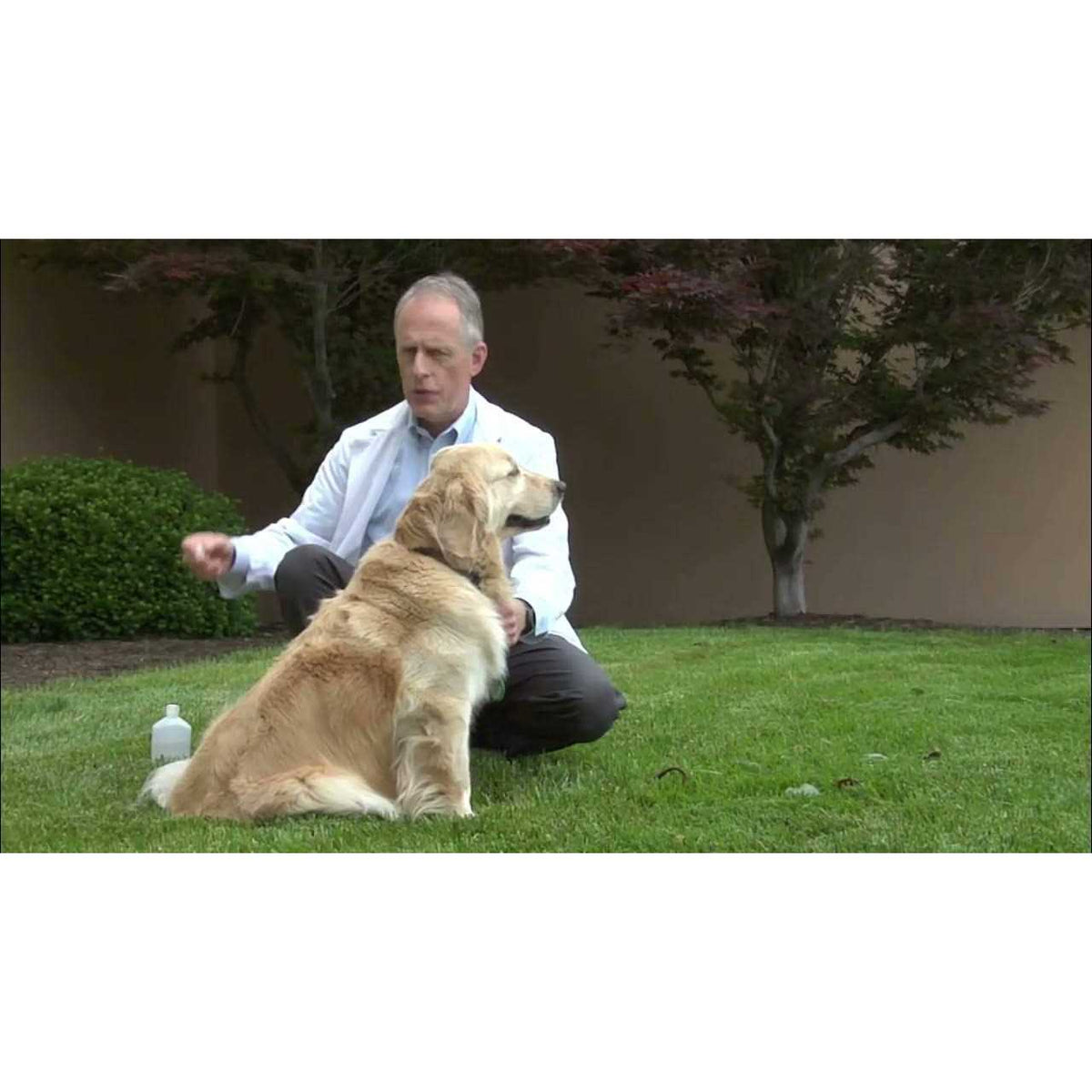 Canine Vaccine H722460