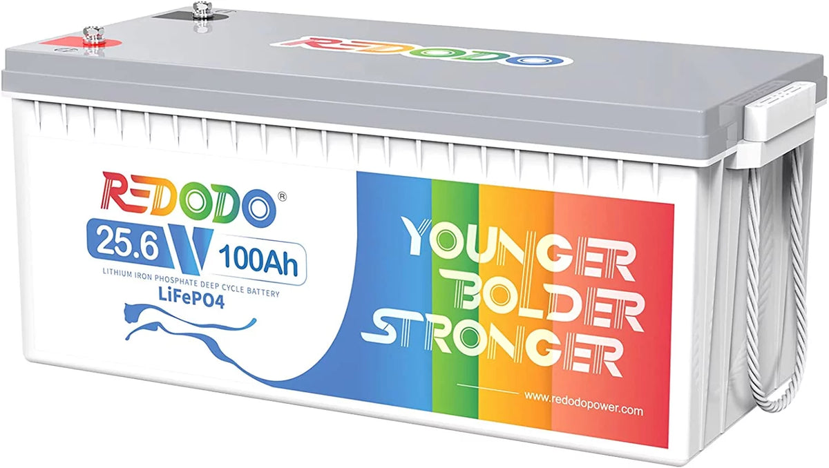 24V 100Ah LiFePO4 Lithium Battery with 100A BMS F197