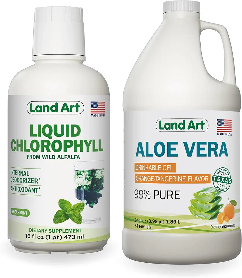 Aloe Vera Drinkable Gel Orange Tangerine Flavored 64floz and Liquid Chlorophyll Mint Flavored 16floz S423872
