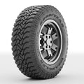 All-Terrain Tire E385657