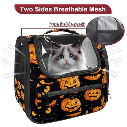 Soft Sided Pet Carrier for Small Medium Cats Dogs Z778321