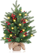 20 inch Small Christmas Tree with Lights Y553865