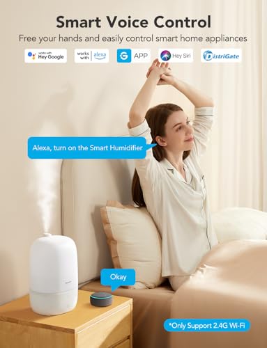 3L Cool Mist Humidifier with Essential Oil Diffuser M898217