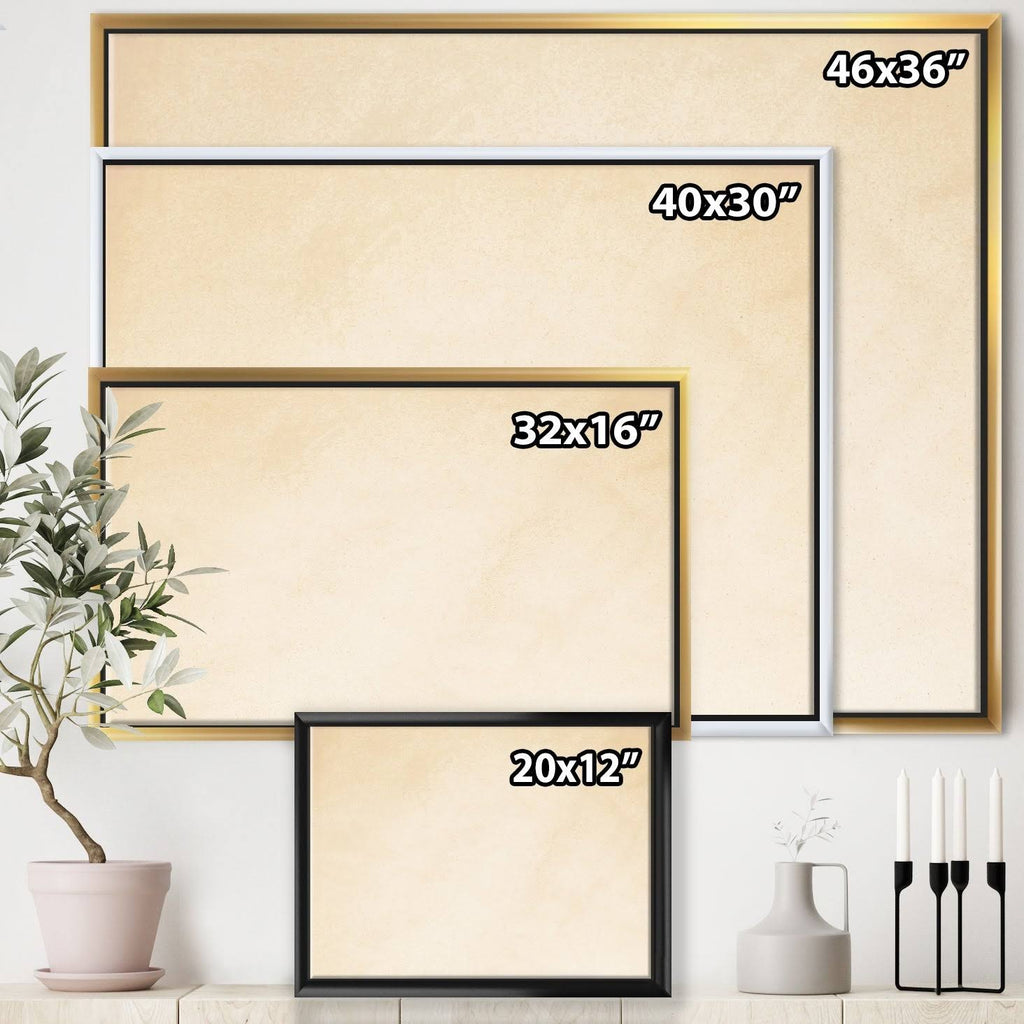 Framed Canvas D304733