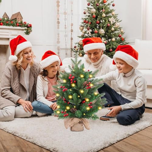 20 inch Small Christmas Tree with Lights Y553865