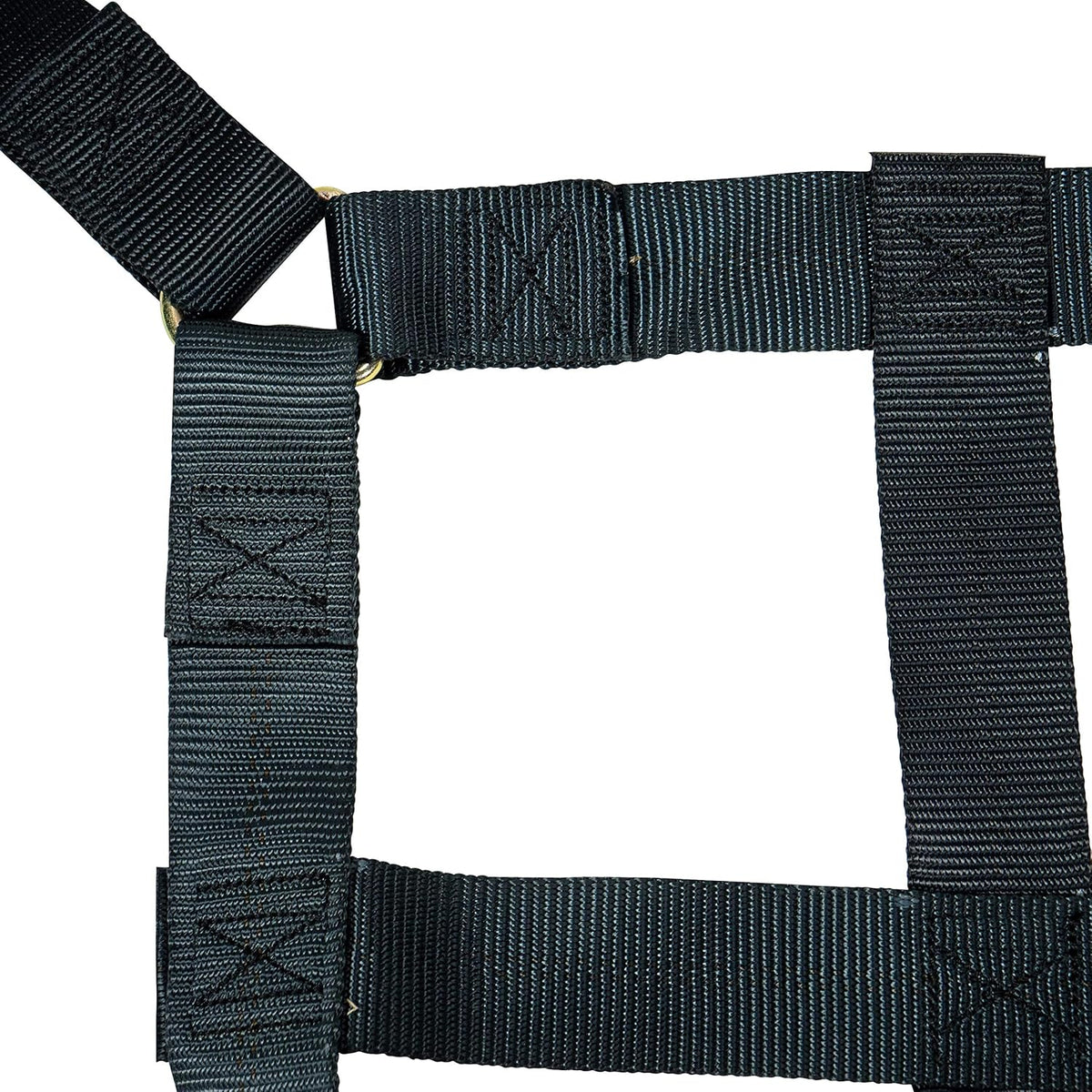 Pickup Truck Bed Cargo Net with Cam Buckles and S-Hooks P4014