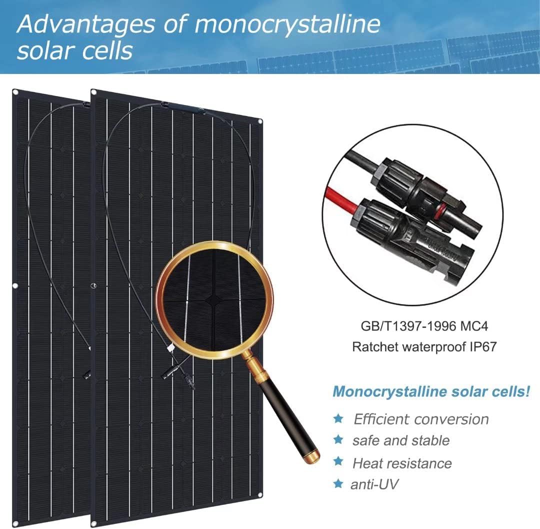 600W Solar Panels 2X300 Watt ETFE High-Efficiency Solar Modules E6096