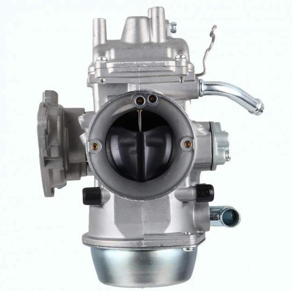 Carburetor Carb Replacement Pack of 2 A9691